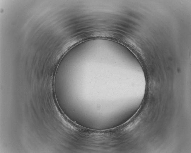 X0000087311033200705041644