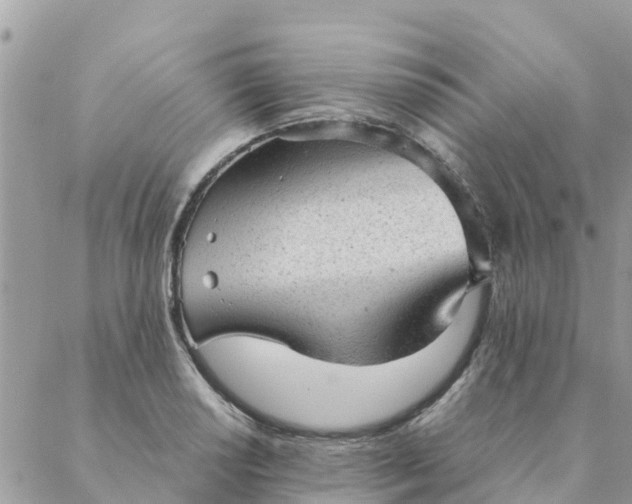 X0000087311034200705041644