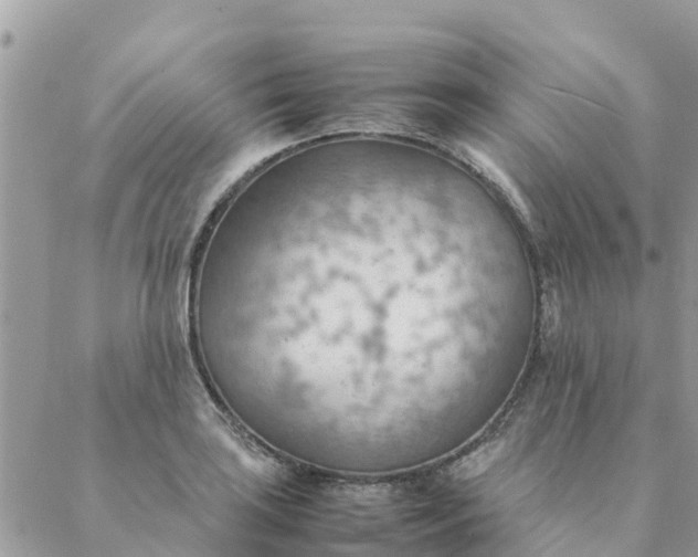 X0000087311035200705041644