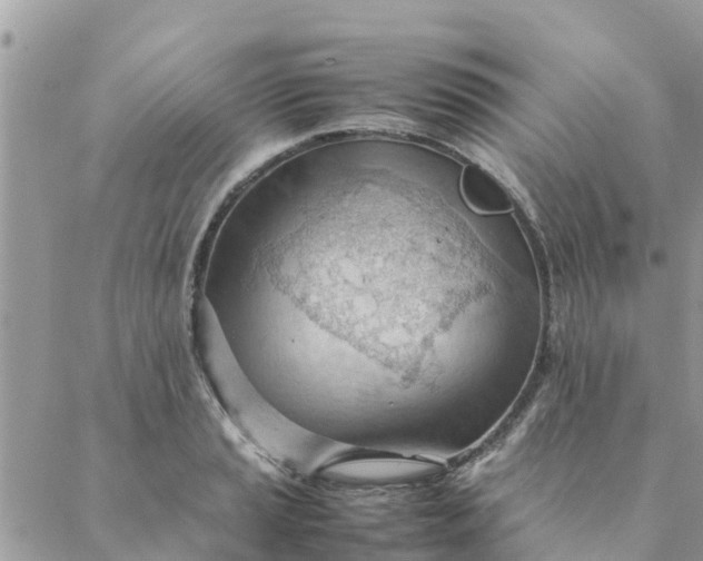 X0000087311037200705041644