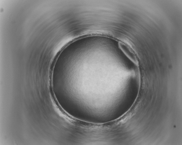 X0000087311038200705041644