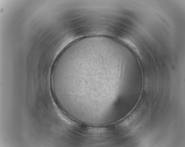 X0000087311039200705041644