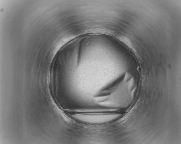 X0000087311040200705041644