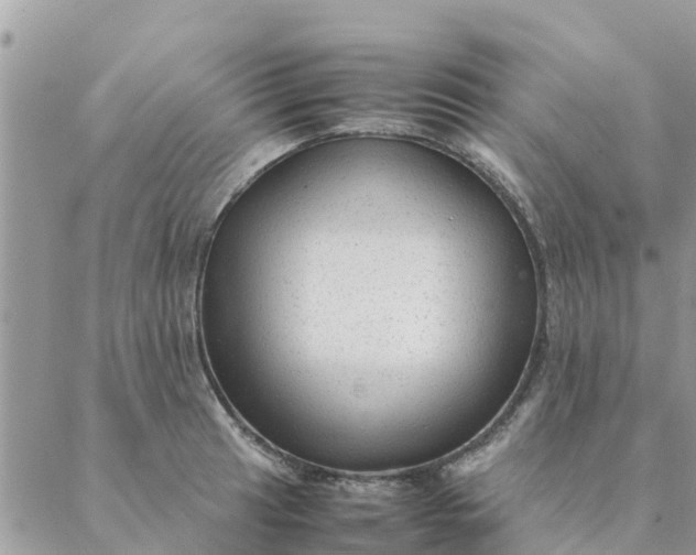 X0000087311041200705041644