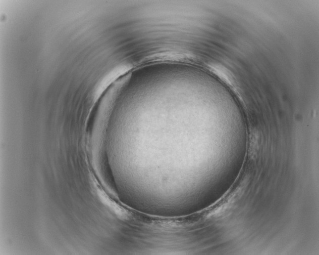 X0000087311042200705041644