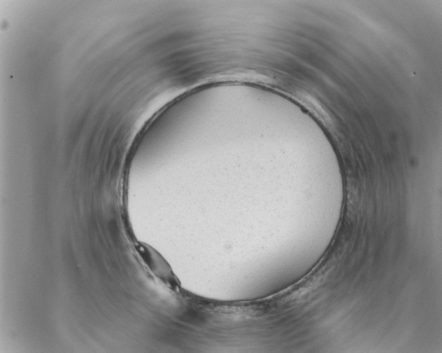 X0000087311044200705041644