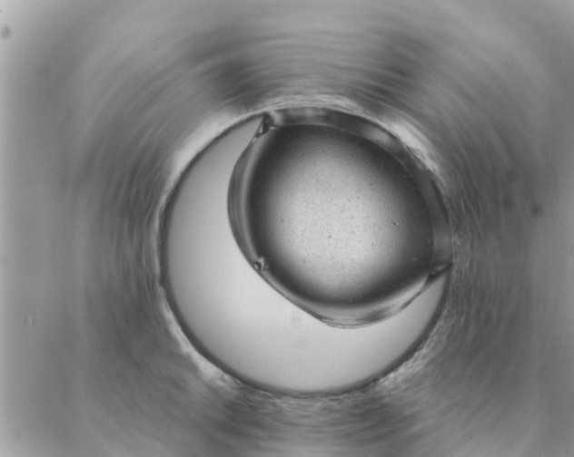 X0000087311046200705041644