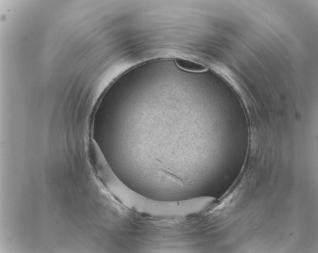 X0000087311048200705041644