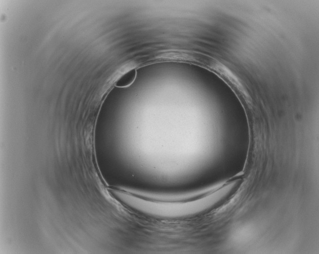 X0000087311049200705041644