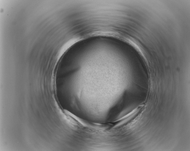 X0000087311050200705041644