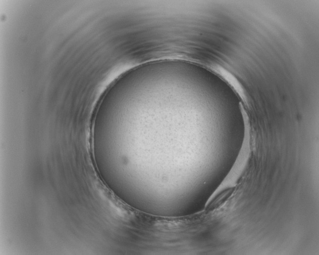 X0000087311051200705041644