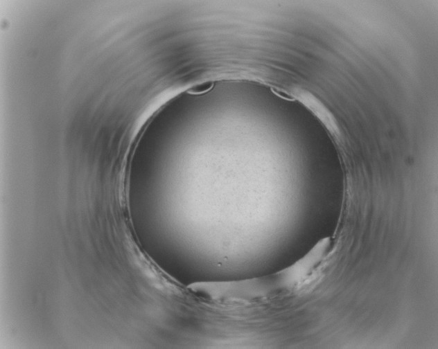 X0000087311052200705041644