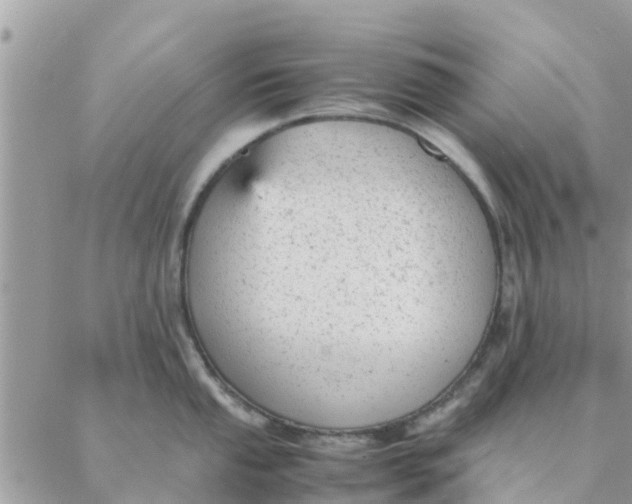 X0000087311053200705041644