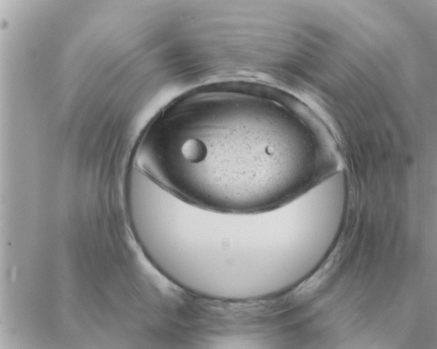 X0000087311054200705041644