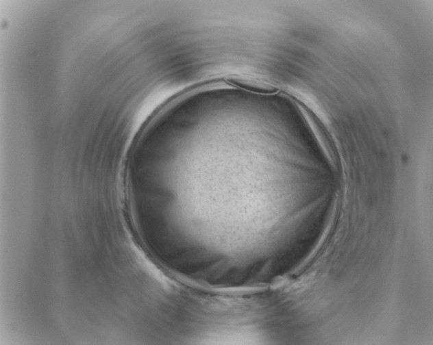 X0000087311056200705041644