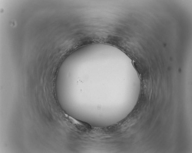 X0000087311057200705041644