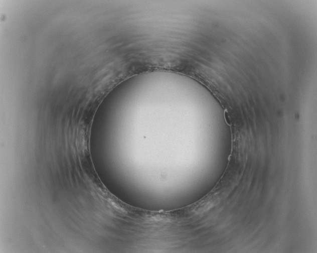 X0000087311058200705041644