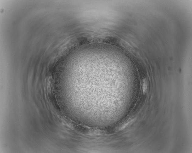 X0000087311059200705041644