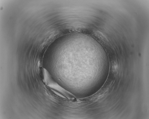 X0000087311060200705041644