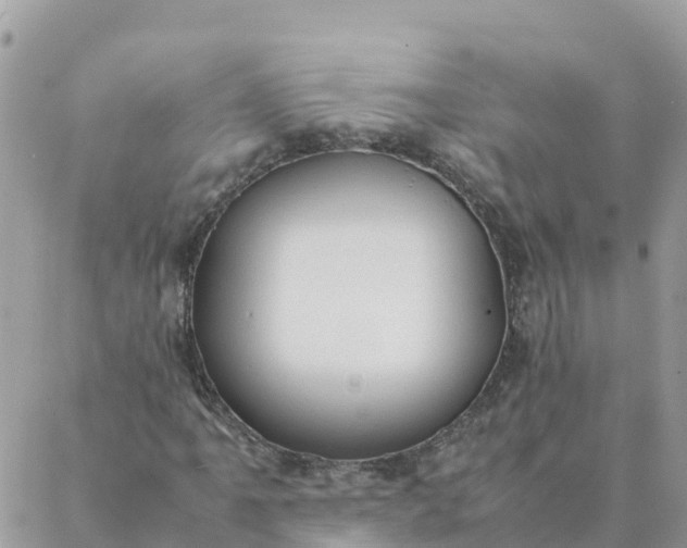 X0000087311061200705041644