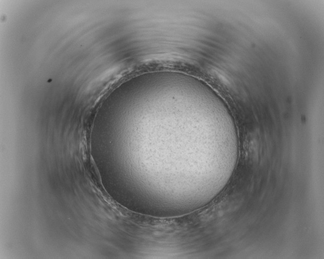 X0000087311062200705041644