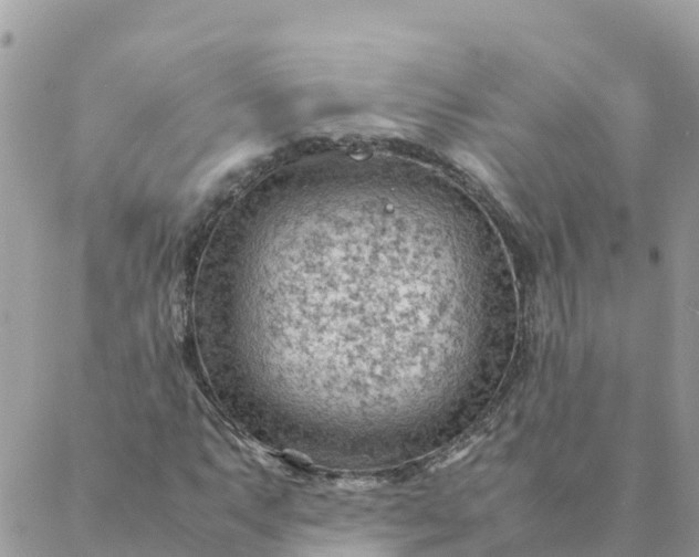 X0000087311063200705041644