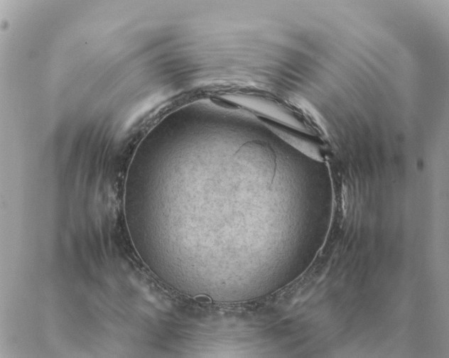 X0000087311064200705041644