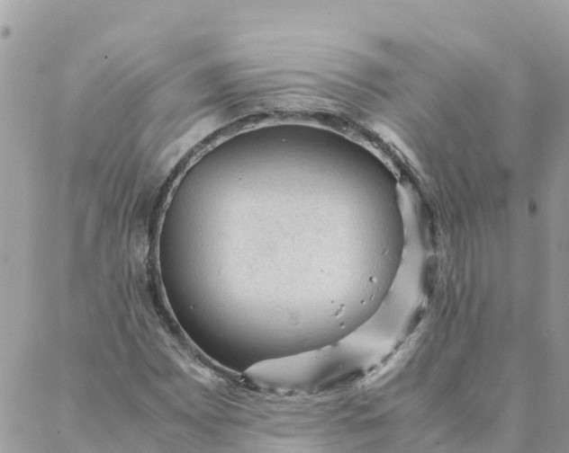 X0000087311065200705041644