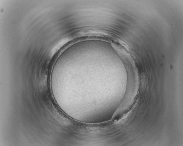 X0000087311066200705041644