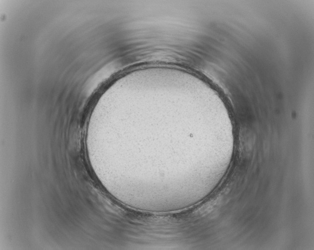 X0000087311067200705041644