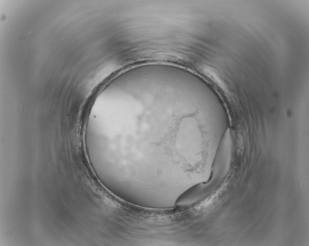 X0000087311071200705041643