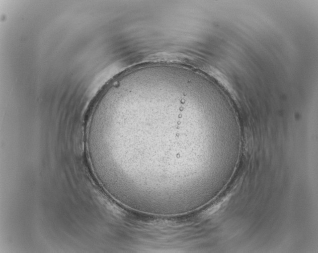 X0000087311075200705041643