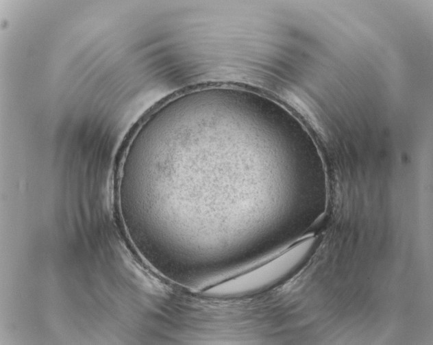 X0000087311076200705041643