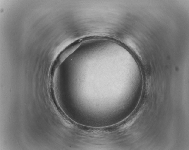 X0000087311077200705041643