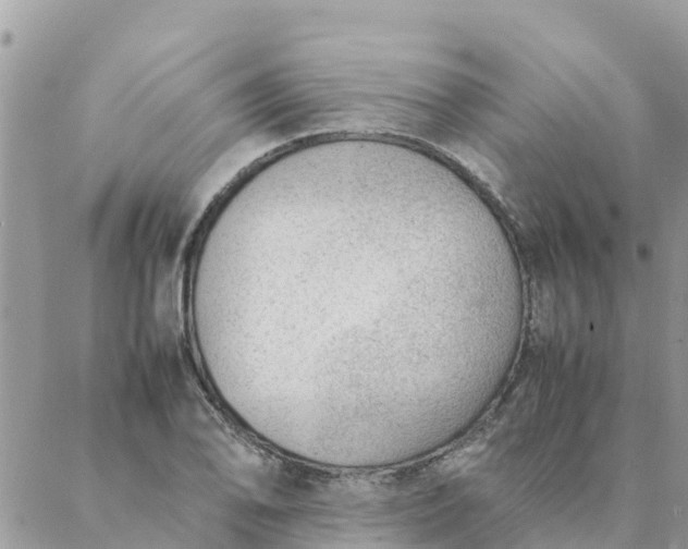 X0000087311078200705041643