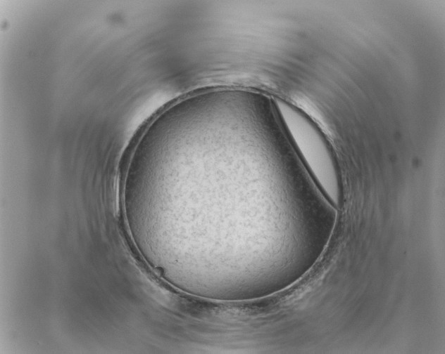 X0000087311079200705041643