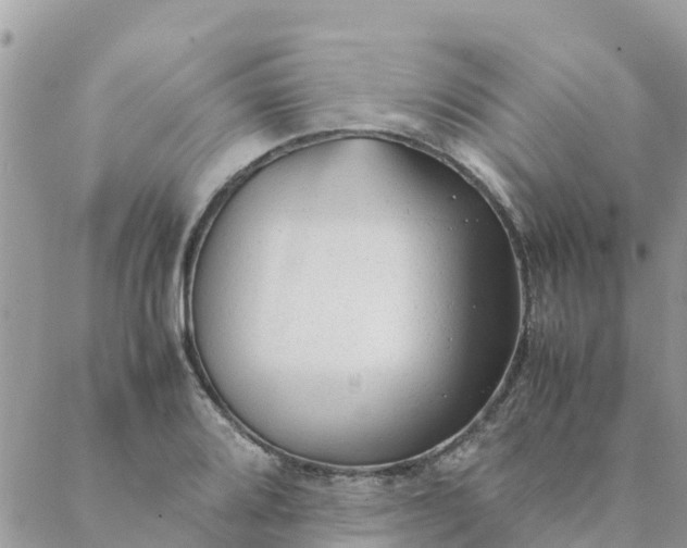 X0000087311080200705041643