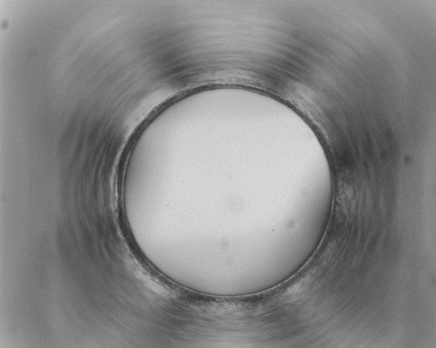 X0000087311082200705041643