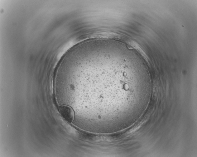 X0000087311083200705041643