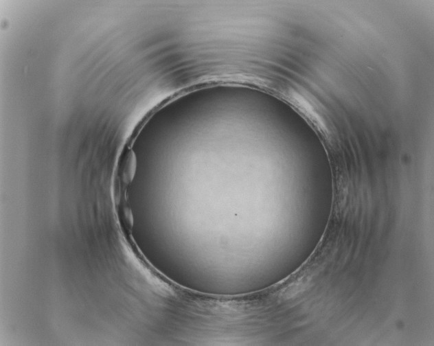 X0000087311084200705041643