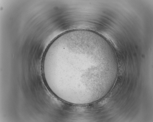 X0000087311086200705041643