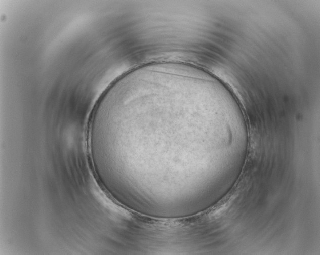 X0000087311090200705041643