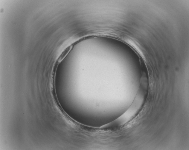 X0000087311093200705041643