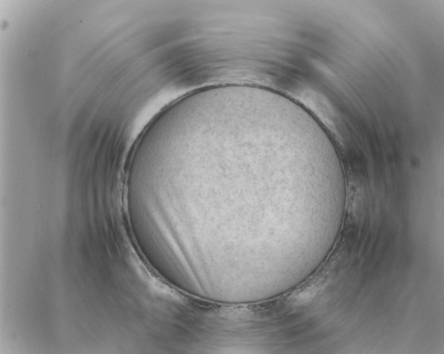 X0000087311094200705041643