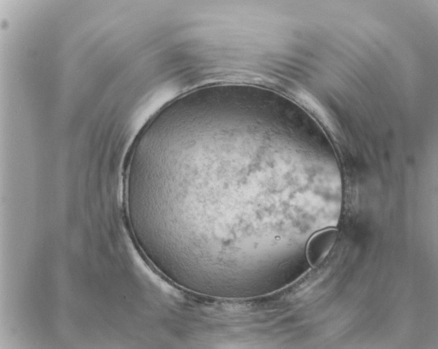 X0000087311095200705041643