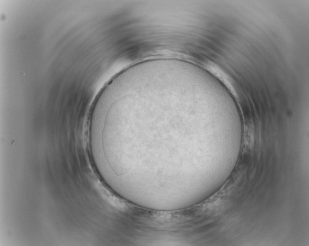 X0000087311098200705041643