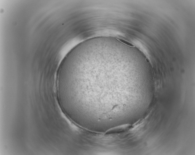 X0000087311103200705041643