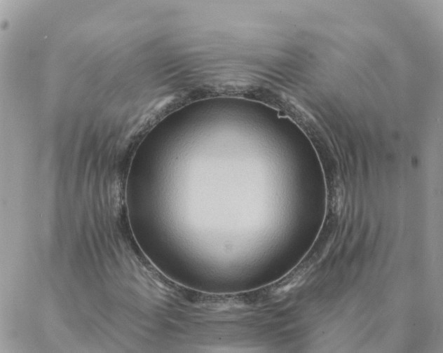 X0000087311108200705041642