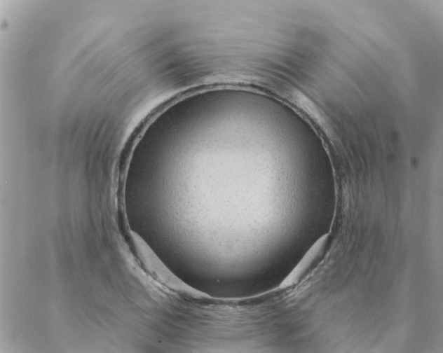X0000087311124200705041642