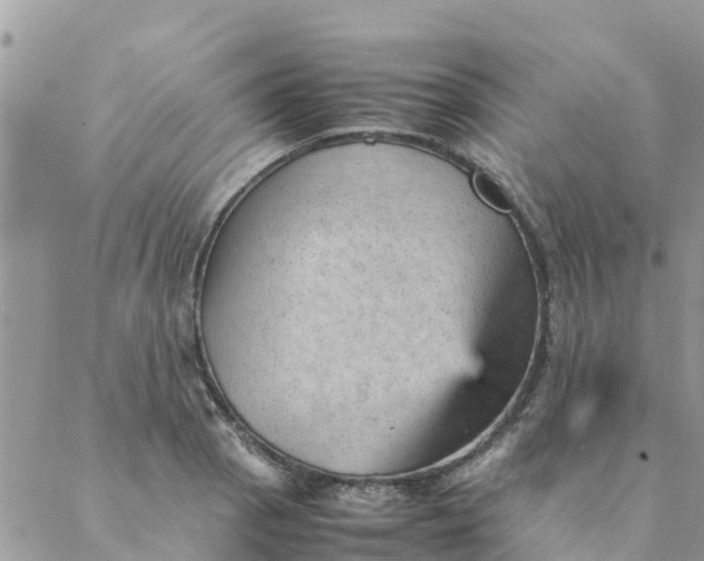 X0000087311129200705041643